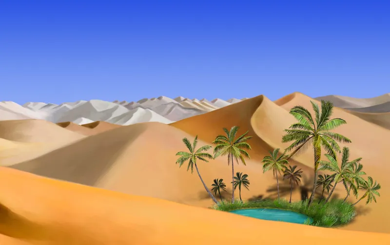oasis